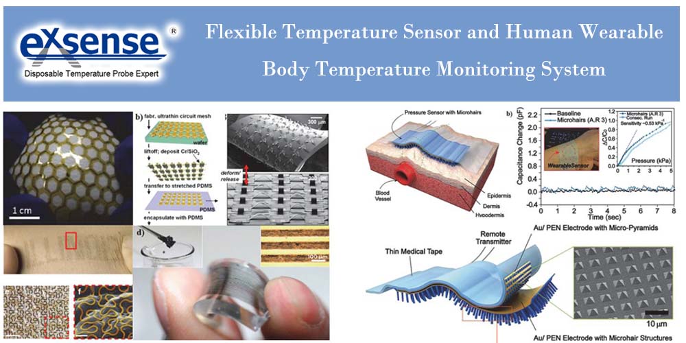 Flexible Temperature Sensor and Human Wearable Body Temperature